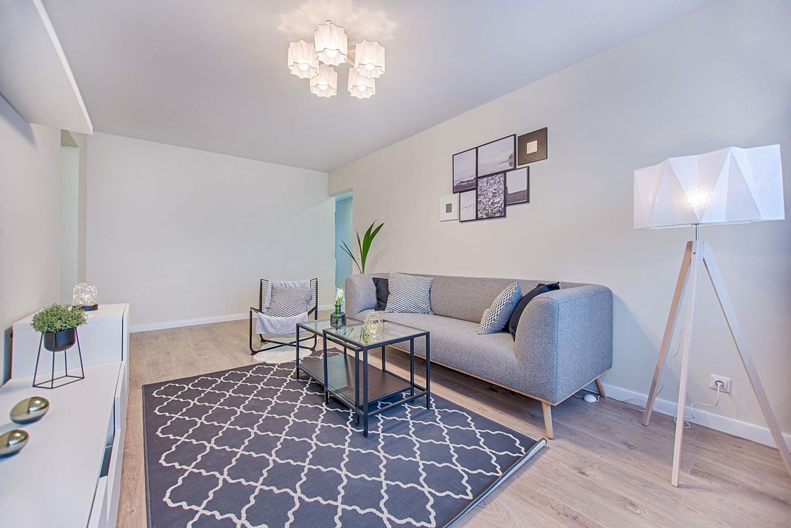 Furnished apartment living room with clean floors and carpet